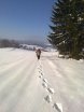 2013-01-26 Winterwanderung