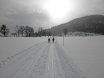 2010-01-31 Langlaufen Windischgarsten
