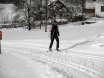 2010-01-31 Langlaufen Windischgarsten