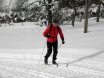 2010-01-31 Langlaufen Windischgarsten