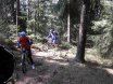 2010-04-17 Mühlviertler MTB-Hopfentour